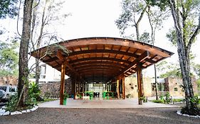 Rainforest Hotel & Cabanas